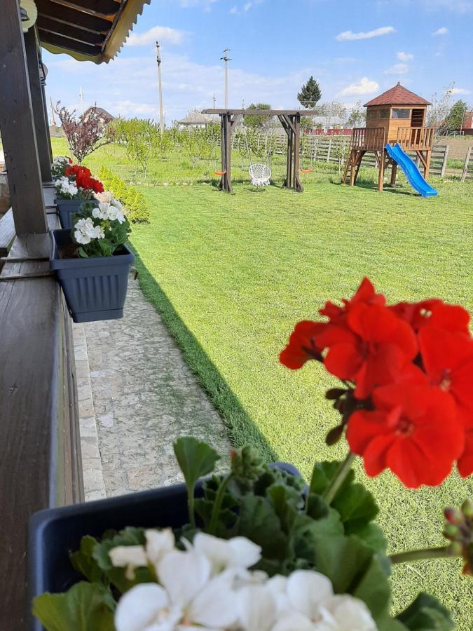 Dor De Casa Doljesti Exterior foto