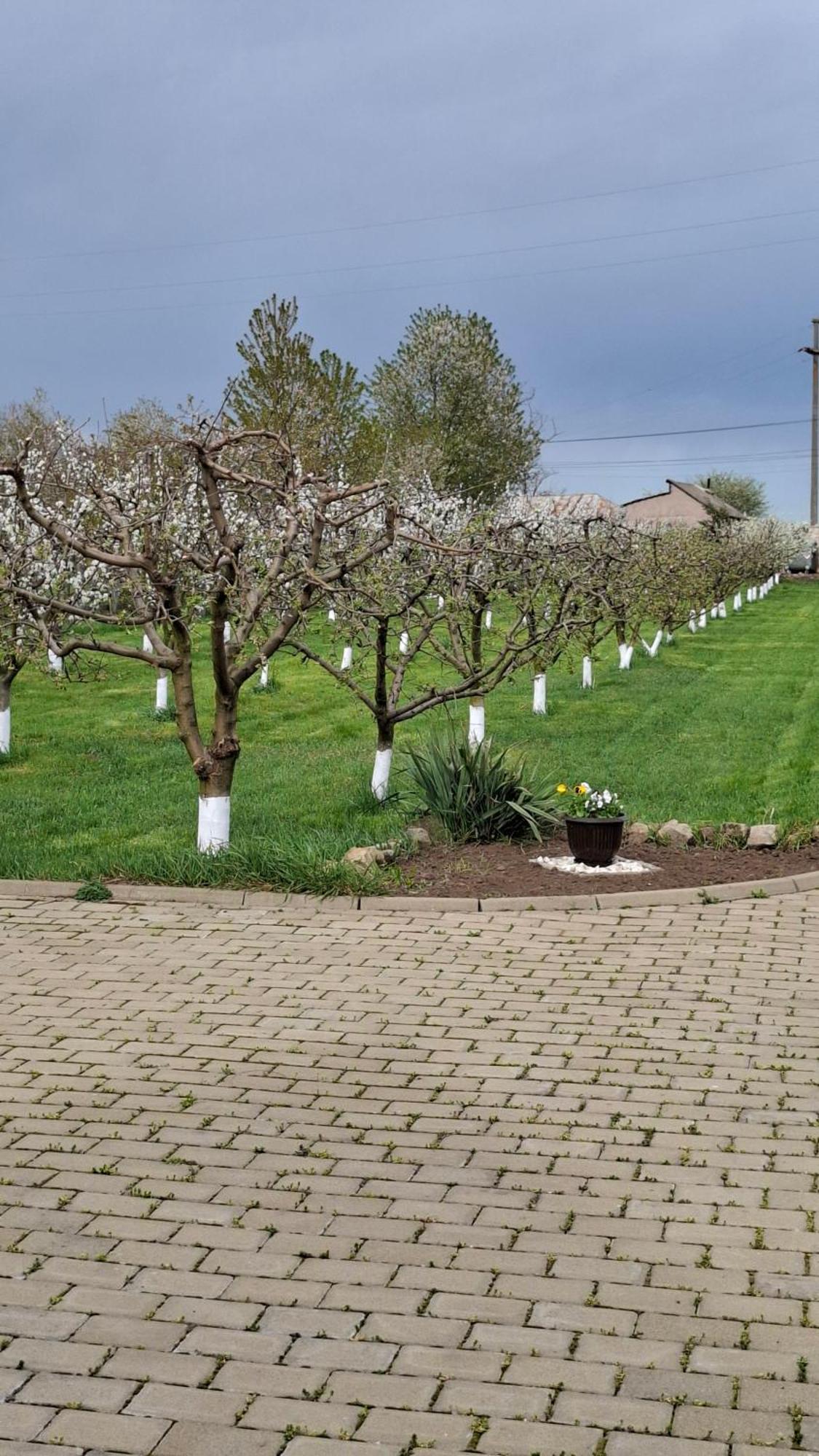 Dor De Casa Doljesti Exterior foto