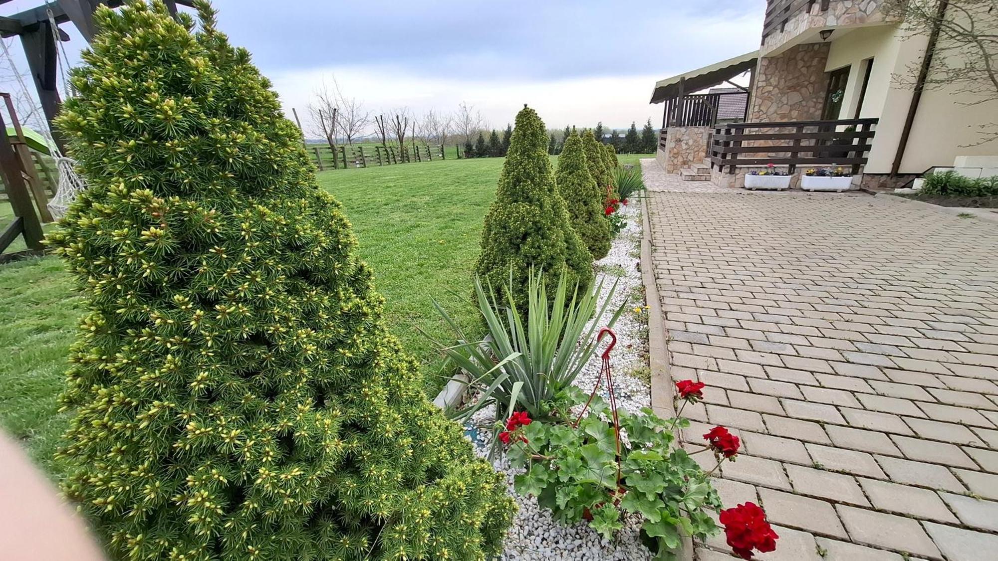 Dor De Casa Doljesti Exterior foto